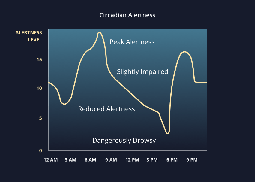 Circadian rhythm chart and sleep timing guidance