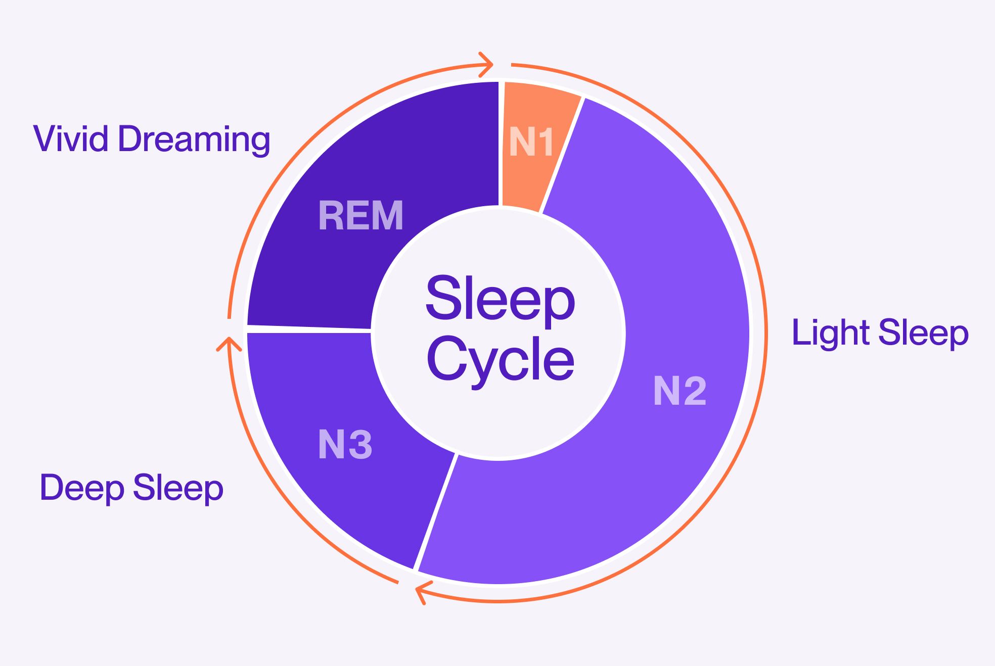 Sleep cycle diagram showing deep sleep and REM sleep stages